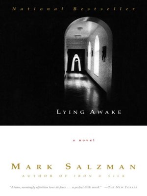 Lying Awake - ebook